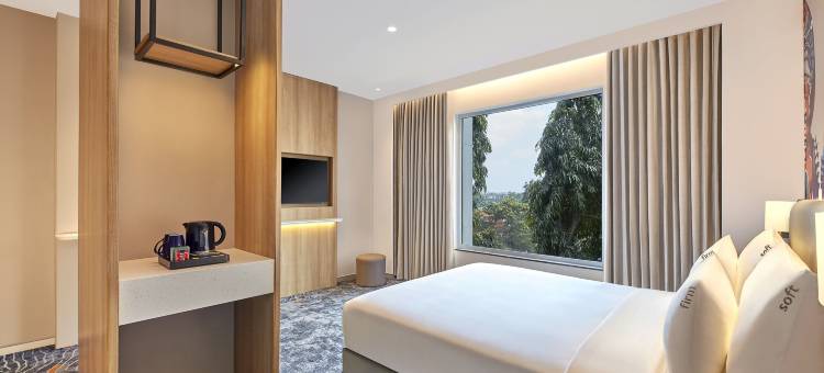 班加罗尔智选假日快捷酒店(Holiday Inn Express Bengaluru Bommasandra)图片