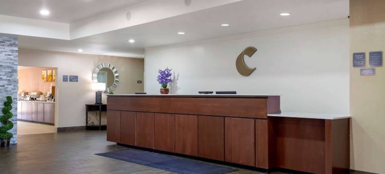 舒适套房酒店(Comfort Suites)图片