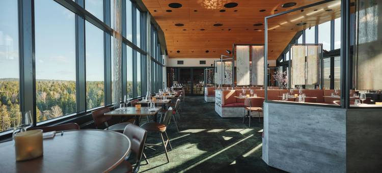 威尔水疗酒店(The Well)图片