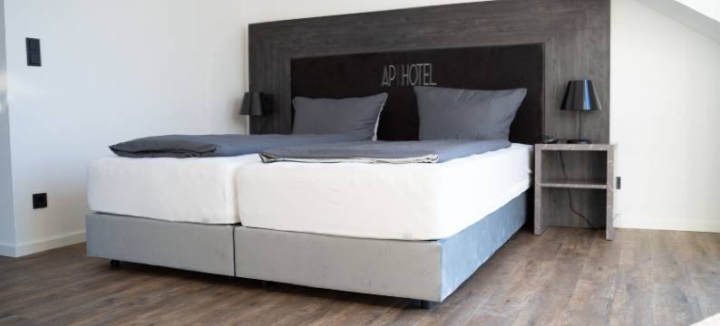 AP 曼海姆维尔海姆酒店(AP Hotel Mannheim Viernheim)图片