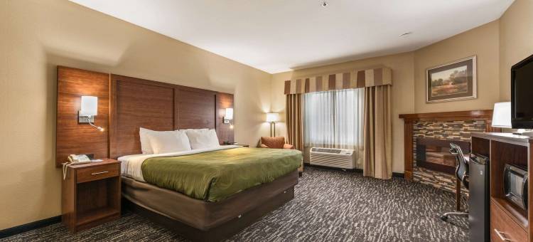 亨德森维尔平岩凯艺酒店(Quality Inn & Suites Hendersonville - Flat Rock)图片