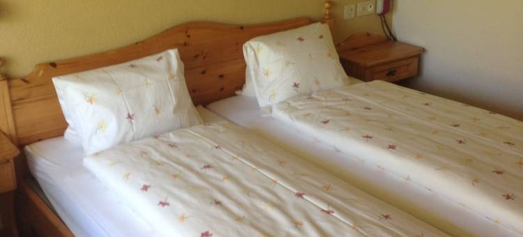 Hostel Vista 茨魏西门青年旅社(Hostel Vista Zweisimmen)图片