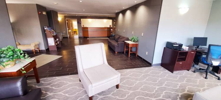 拉辛美洲最佳价值套房酒店(Americas Best Value Inn and Suites Racine)图片