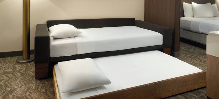 亚特兰大六旗游乐园万豪SpringHill酒店(SpringHill Suites Atlanta Six Flags)图片