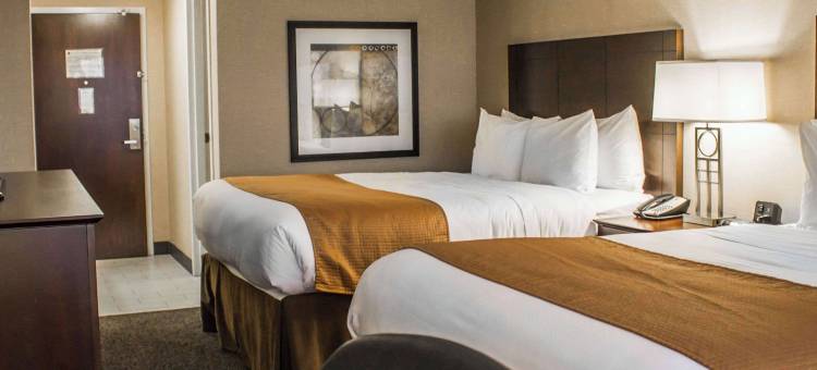 沃兹沃思舒适酒店(Comfort Inn & Suites)图片