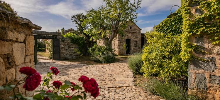 Amadria公园海滩酒店 Jure(Amadria Park Beach Hotel Jure)图片