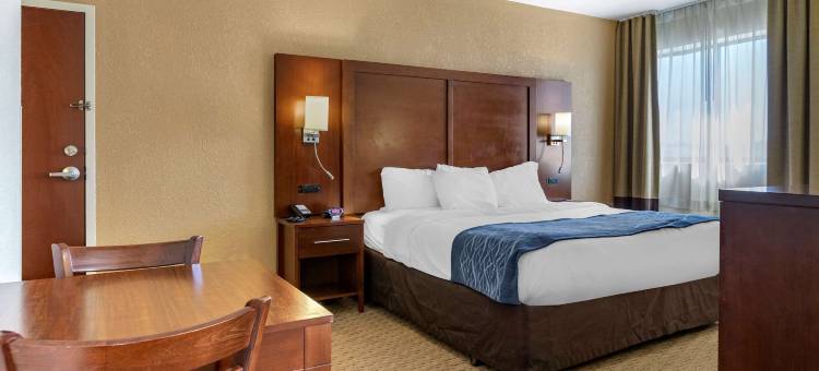 沃伦西北佳阁酒店洲际旗下(Garner Hotel WARREN NORTHWEST by IHG)图片