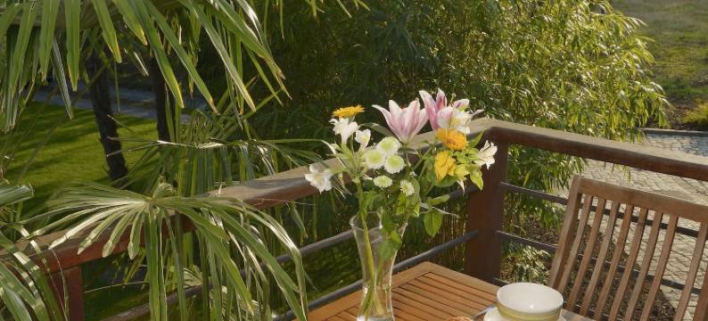 现代温馨绿意盎然的乐阁(Le Loft Moderne et Chaleureux Avec Vue Verdoyante)图片