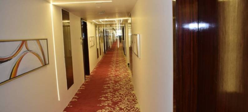 克拉克斯高级酒店(Clarks Premier Kota)图片