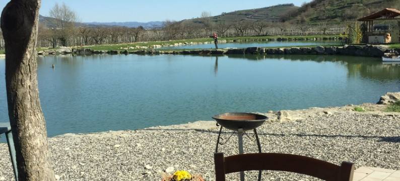 丰塔内拉酒店(La Fontanella)图片