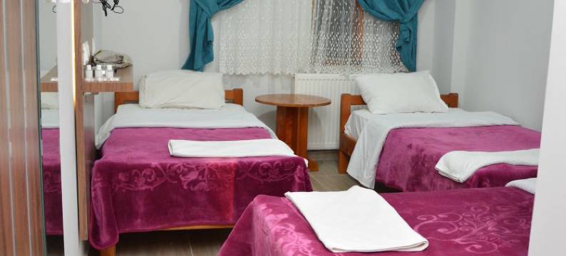 奥图格酒店(Hotel Altuğ)图片