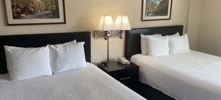 杜克大学旅馆(University Inn Duke)图片