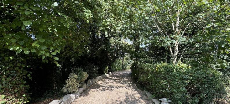 胡克伍德旅馆(Hookwood Lodge)图片