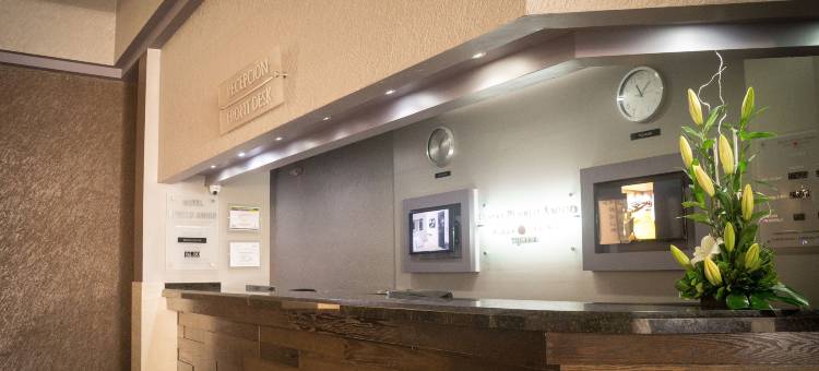普韦布洛阿米戈广场娱乐场酒店(Pueblo Amigo Hotel Plaza y Casino)图片