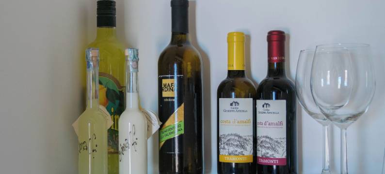 安娜拉拉别墅(Hotel Villa Annalara Charme and Relax)图片