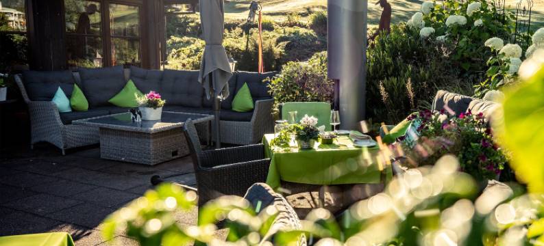 美丽森林的牛酒店(Hotel Zum Ochsen)图片