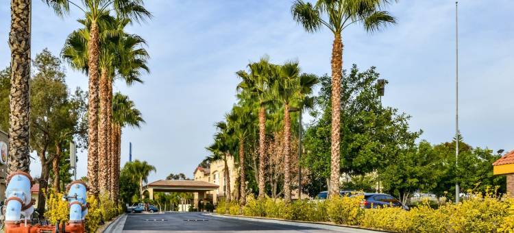 柑橘套房雷德兰兹洛马琳达酒店(Citrus Suites Redlands Loma Linda Hotel)图片