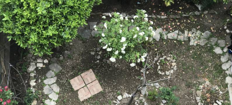 托尔托萨蓝(Tortosa Blue)图片