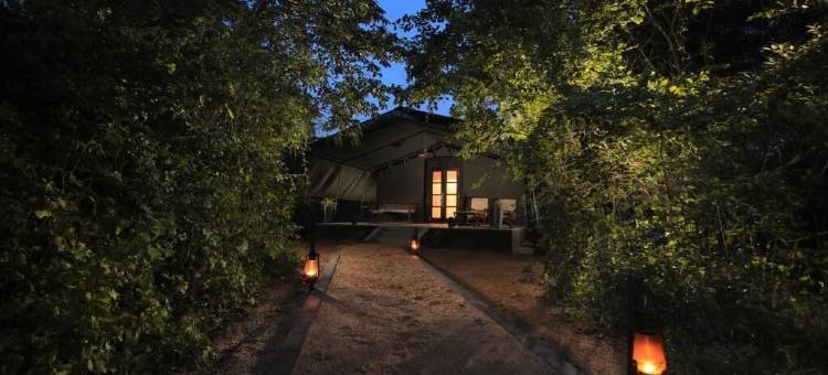 韦帕图花豹小径旅馆(Leopard Trails Wilpattu)图片