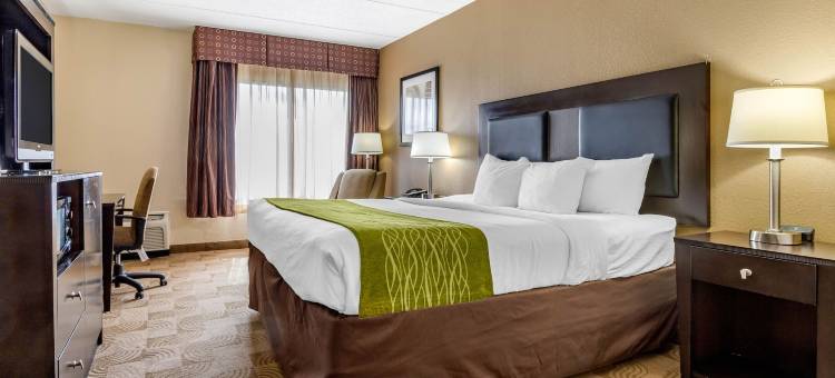 华纳罗宾斯-罗宾斯空军基地地区舒适酒店(Comfort Inn Warner Robins - Robins Air Force Base Area)图片