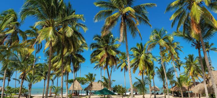 艾特酒店(Aite Eco Resort)图片