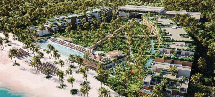W 蓬塔卡纳, 成人全包(W Punta Cana, Adult All-Inclusive)图片