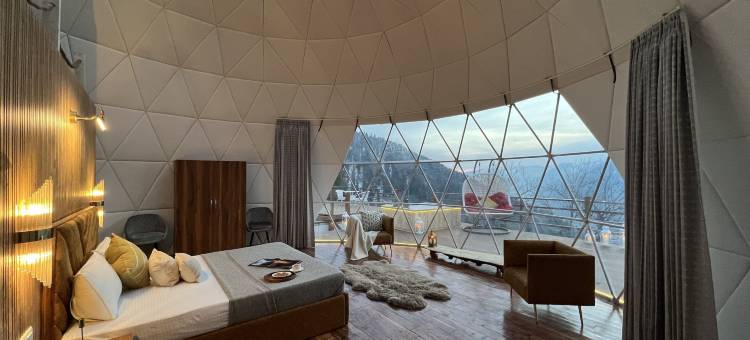 露营俱乐部(Glamping Club)图片
