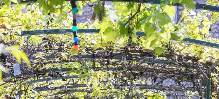 Spa城堡拉图尔(Spa Chateau la Tour)图片