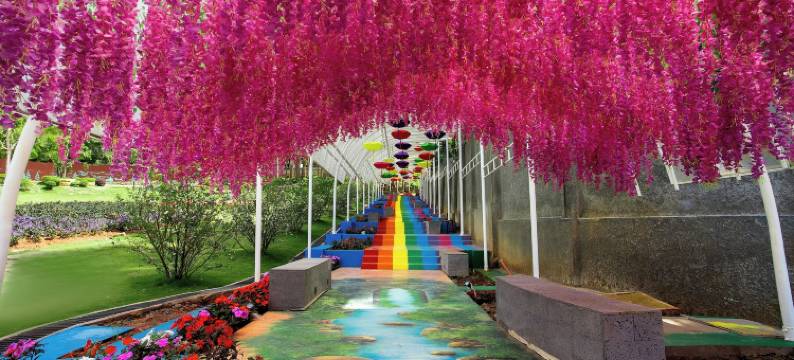 Rung Thong Nui Voi Villa & Resort(Rung Thong Nui Voi Villa & Resort)图片