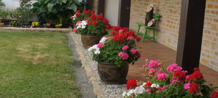 伯纳多之家(Chez Bernadou)图片