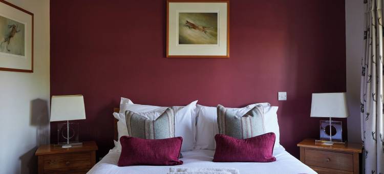 老马车旅馆(The Old Coach House)图片