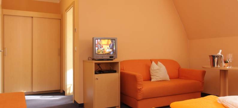 林德普法尔茨酒店(Hotel Linde Pfalz)图片