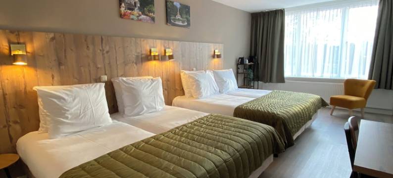 艾米莉亚酒店(Hotel Emilia)图片