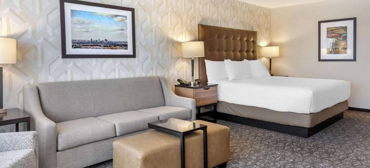 圣路易斯西南德鲁里套房酒店(Drury Inn & Suites St. Louis-Southwest)图片