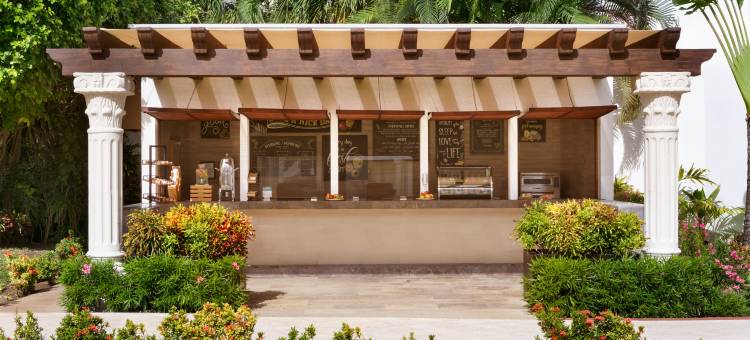 Hyatt Vivid Playa del Carmen An All-Inclusive Resort图片