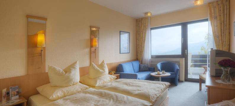 索娜伯格瓦尔德酒店(Waldhotel Sonnenberg)图片