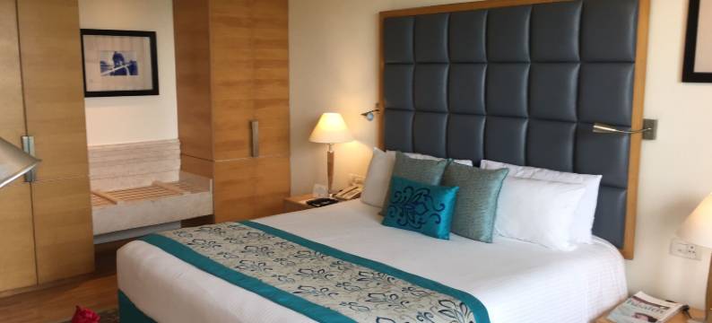 泰姬昌迪格酒店(Taj Chandigarh)图片