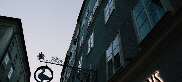 蓝骑士甘斯艺术酒店(ArtHotel Blaue Gans)图片