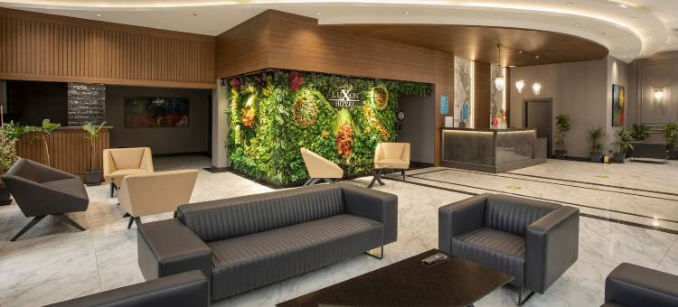 萨卡里亚卢克索酒店(Luxon Hotel Sakarya)图片