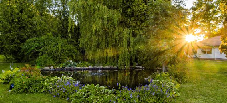 Starby Spa，酒店&会议(Starby Spa, Hotell & Konferens)图片