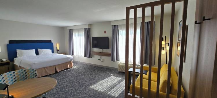 希尔顿欢朋套房酒店-芝加哥迪尔帕克(Hampton Inn & Suites Chicago Deer Park)图片