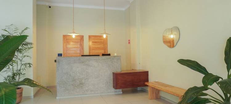 特帕尔卡特斯酒店(Hotel Tepalcates)图片