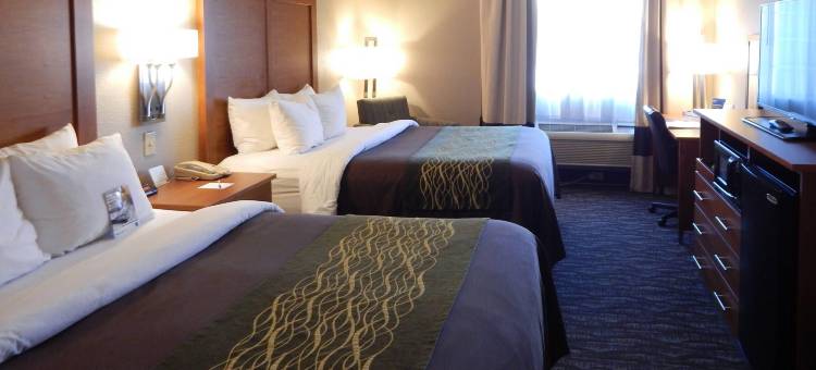 拉斯克鲁塞斯梅斯拉舒适套房酒店(Comfort Inn & Suites Las Cruces Mesilla)图片
