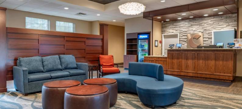 大学舒适酒店(Comfort Inn University)图片