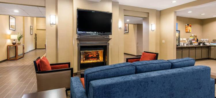 IAH布什机场-东舒适套房酒店(Comfort Inn & Suites IAH Bush Airport - East)图片