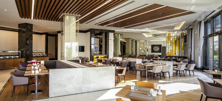 迪亚巴克尔诺富特酒店(Novotel Diyarbakir)图片