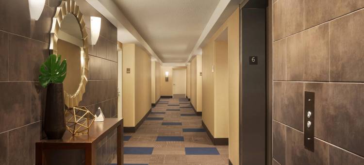 舒适酒店及套房-总统套房(Comfort Inn & Suites Presidential)图片