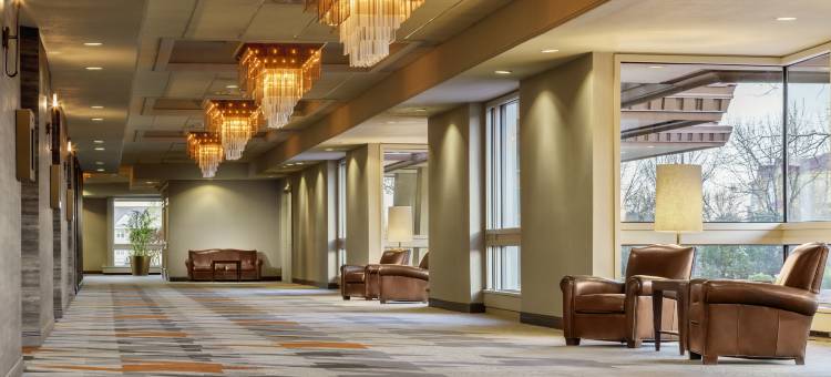 科罗拉多斯普林斯世界舞台逸林酒店(DoubleTree by Hilton Colorado Springs)图片