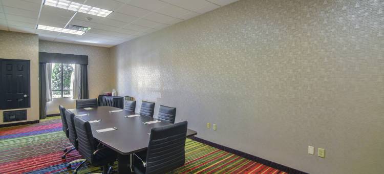 Holiday Inn 阿林顿东北流浪者棒球场(Holiday Inn Arlington NE-Rangers Ballpark)图片