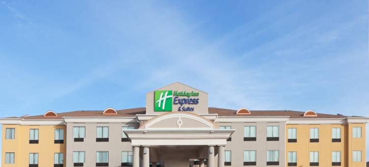 智选假日套房酒店布朗菲尔德(Holiday Inn Express & Suites Brownfield)图片